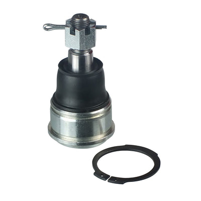 DELPHI auto part