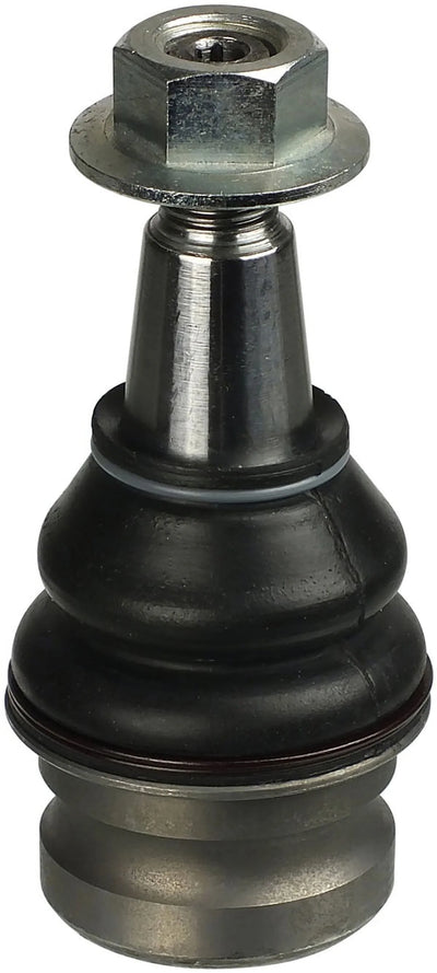 DELPHI auto part