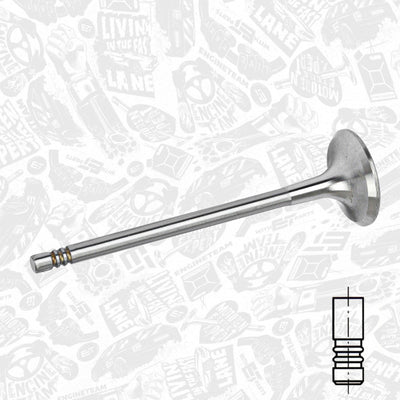 Mahle exhaust