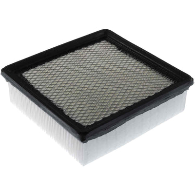 Mahle air filter