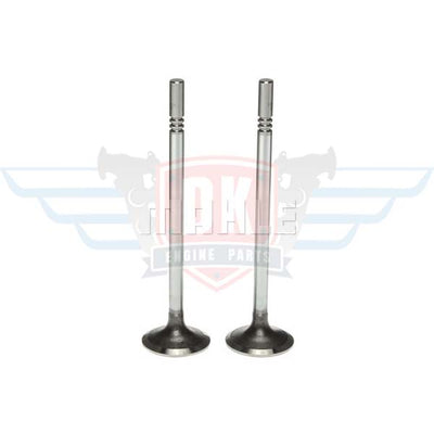 Mahle intake system