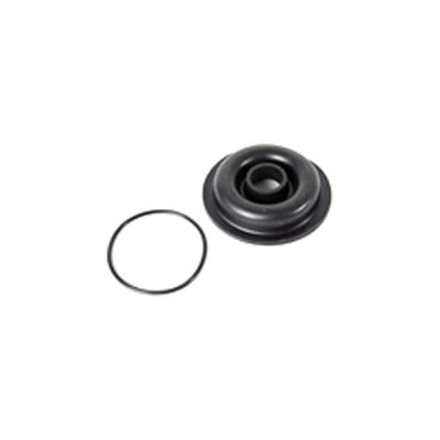 WHALE auto part