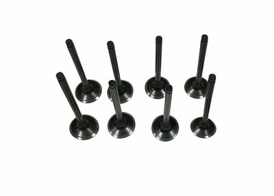 EXHAUST VALVE