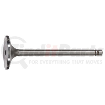 SEALED POWER exhaust