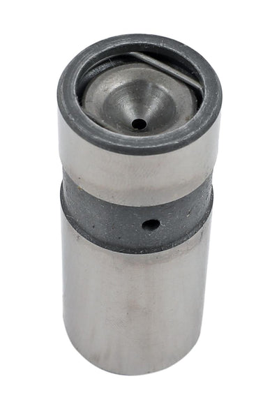 LIFTRRS ENG VALVE BULK 12