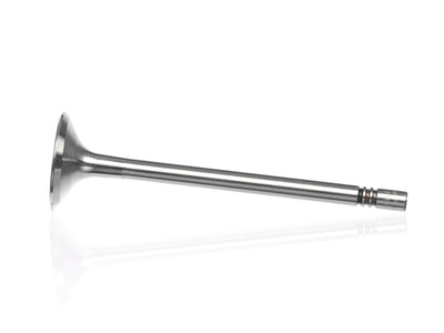 Mahle intake system
