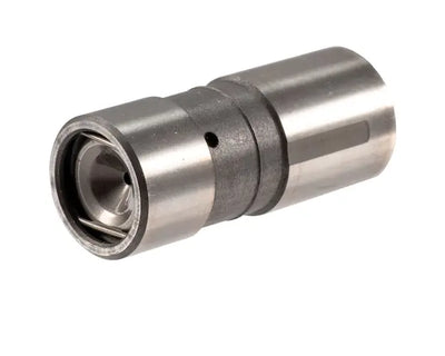 LIFTRRS ENG VALVE BULK 12