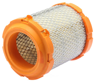 RADIAL SEAL AIR FILTER 2PK