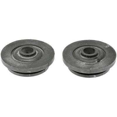 RAD MOUNT BUSHING