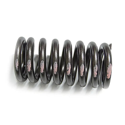 SEALED POWER springs