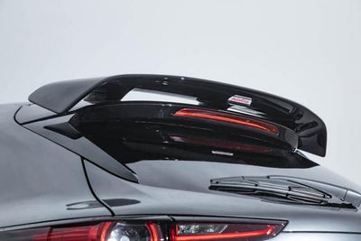 Rear Roof Spoiler