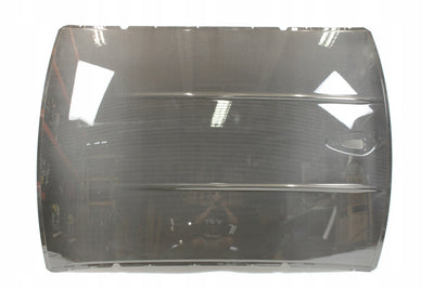 M Performance Carbon Fiber Roof Panel