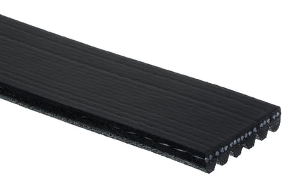 (S)BELT