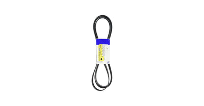 (S)BELT