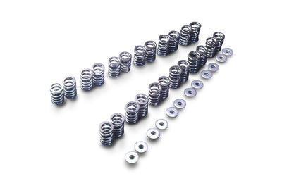 VALVE SPRING SET RB25DE(T) R33 TYPE-B