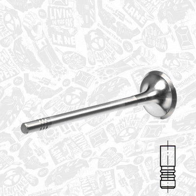 Mahle Engine Exhaust Valve 029 VA 31373 000