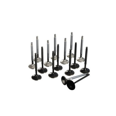 RACING VALVE SET K20 K24