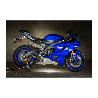 Exhaust System with X96 Carbon Fiber Canister