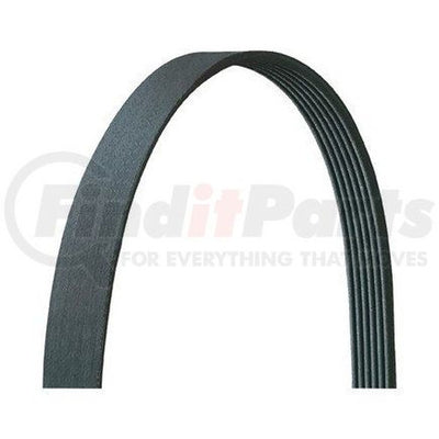 SERPENTINE BELT