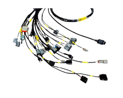Rywire Honda K-Series (w/FuelTech 550 ECU) Engine Harness w/Chassis Specific Adapter
