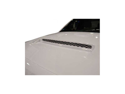 Ram Air Fiberglass Hood
