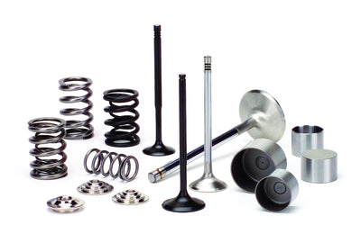 Supertech Honda D16A6 Single Valve Spring Kit (Exhaust Only)