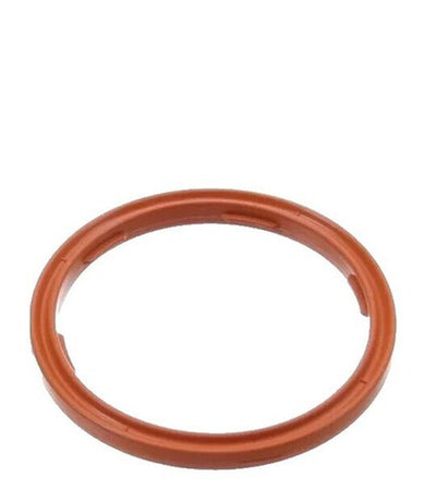 Fuel Injection Plenum Gasket - 11-10710-01