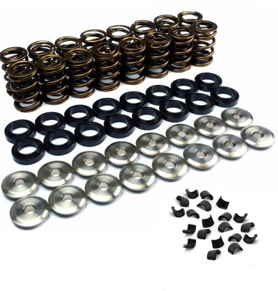 Ferrea Nissan Skyline RB26 Dual Valve Springs Kit