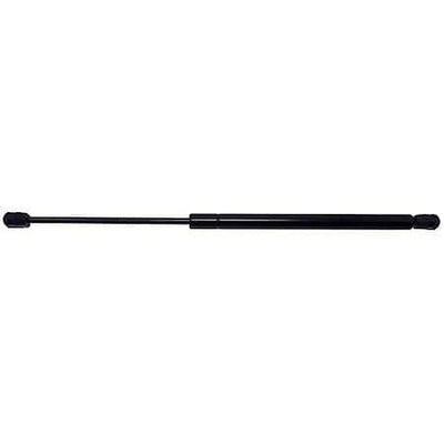 LIFTGATE LIFT SUPPORT