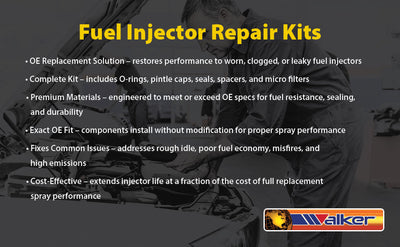 FUEL INJECTION REPAIR KIT