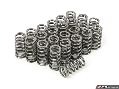 Supertech BMW N54 Conical Valve Spring - Set of 24