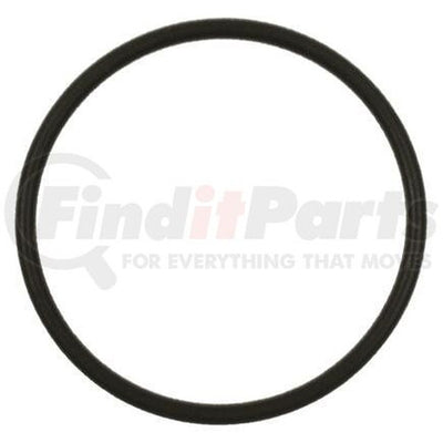 STANDARD FUEL PUMP O-RING