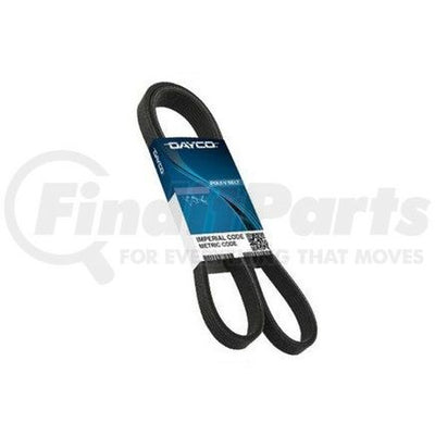 SERPETINE BELT