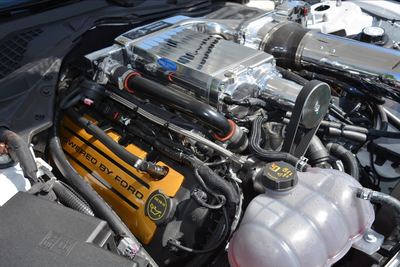 Mammoth 4.2L Liquid Cooled Supercharger System