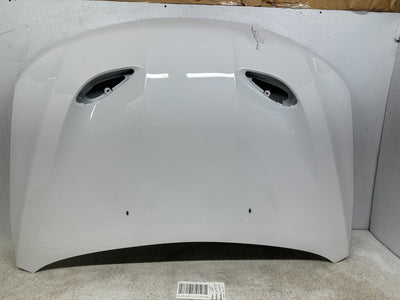 Hood Panel