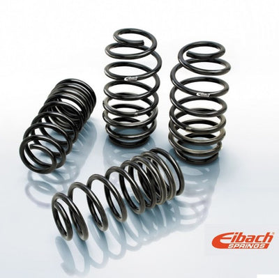 Eibach 24-26 Lexus GX550 Pro Lift Kit - Rear Springs