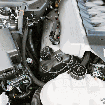 UPR 15-17 Mustang 5.0 Remote Mount - Satin 5028-98-RM