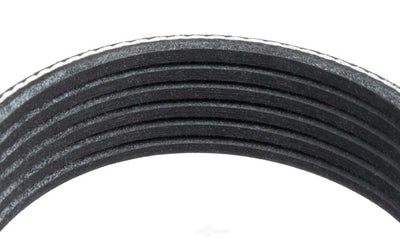SERPENTINE BELT MULTI VBELTK MULTI VBELT