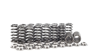 Valvetrain Package for Audi 2.5L DAZA/DNWA 5-Cylinder