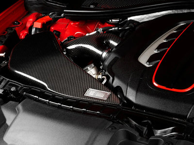 Carbon Fiber Intake System 4.0T V8