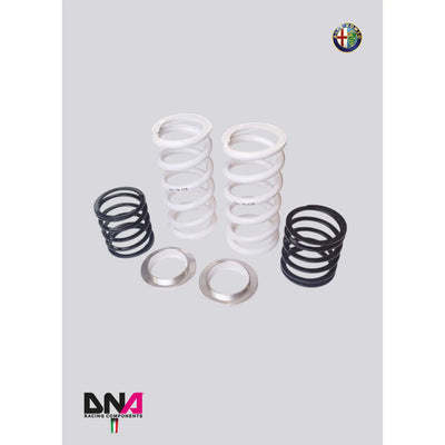DNA Racing springs