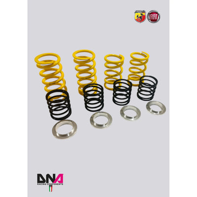 DNA Racing shock absorber