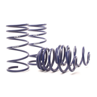 H&R springs