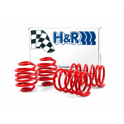 H&R springs