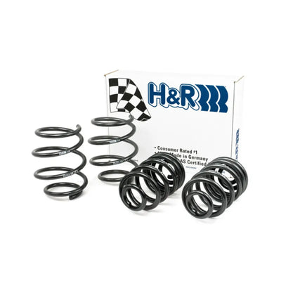 H&R springs