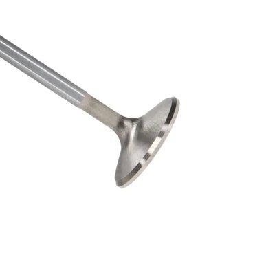 Manley Performance intake system