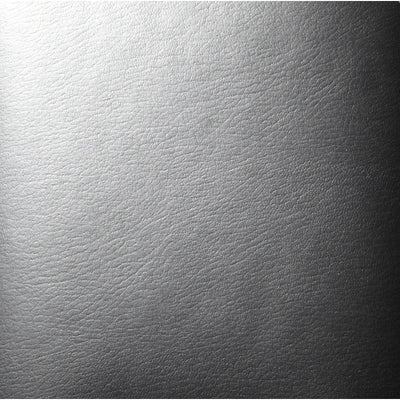 Covercraft silver auto part