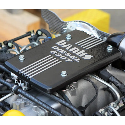Banks Power intake system