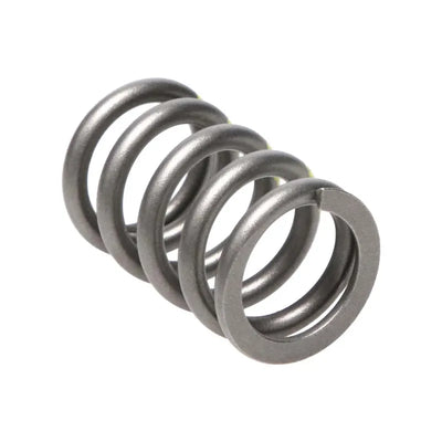 Manley Performance springs