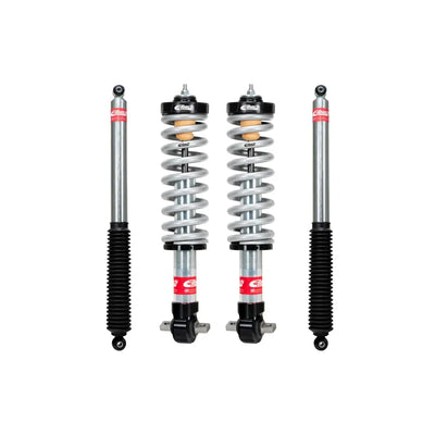 Eibach shock absorber